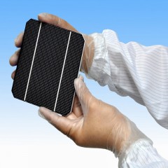 Renic 无粉PVC手套9.5